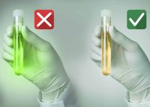 Using Synthetic Urine for Calibration in Drug Testing Laboratories